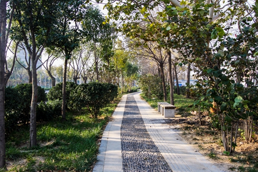 济南市济齐路道路改造糖心vlog
（二环西路~黄岗路）